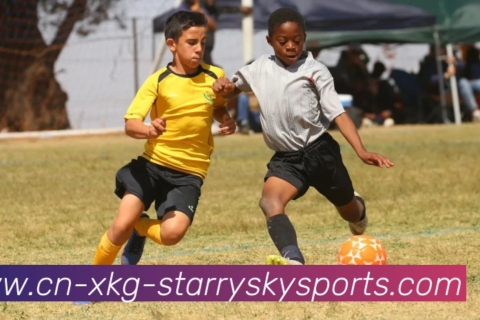 足球备份系统完善程度是否影响赛事资料与历史数据的保存安全